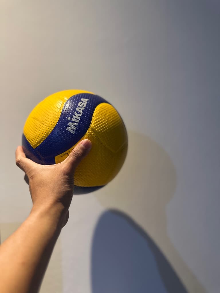 Volleybae media 1