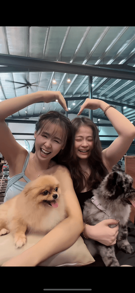 Pick the 🎾 with 🐶 🐹🐰🐱 media 4