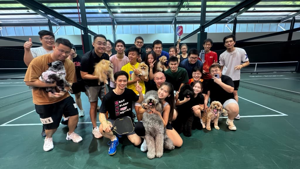 Pick the 🎾 with 🐶 🐹🐰🐱 media 5
