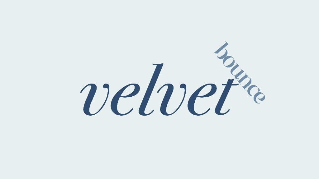 Velvet Bounce media 1