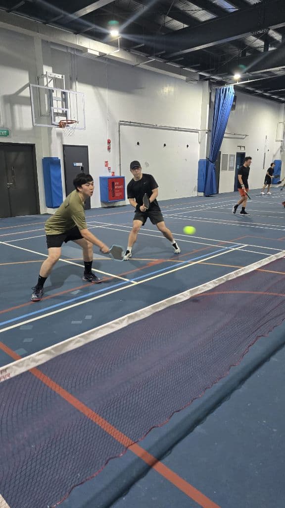 Eccentric Pickleball media 4