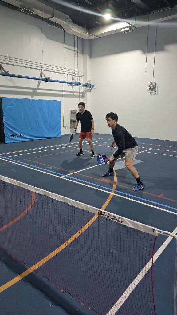 Eccentric Pickleball media 6