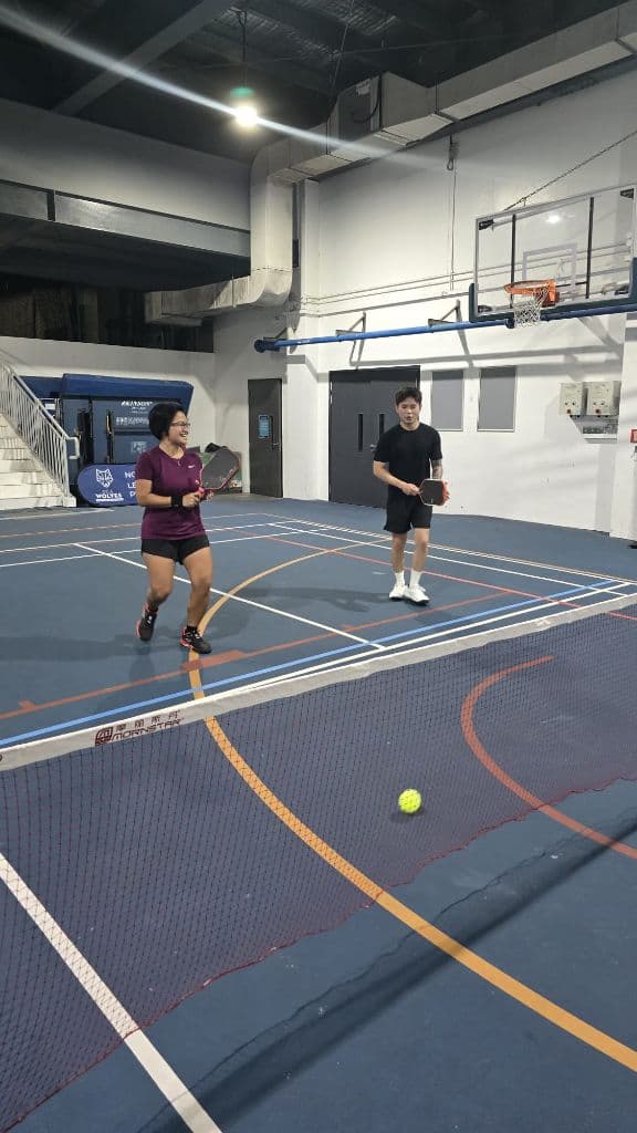 Eccentric Pickleball media 3