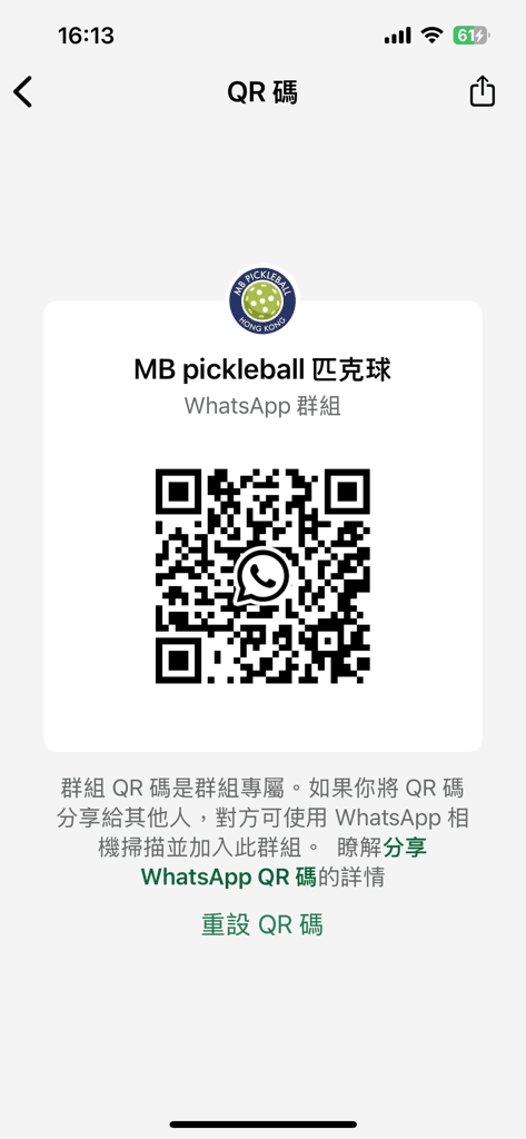 MB pickleball 匹克球 media 5