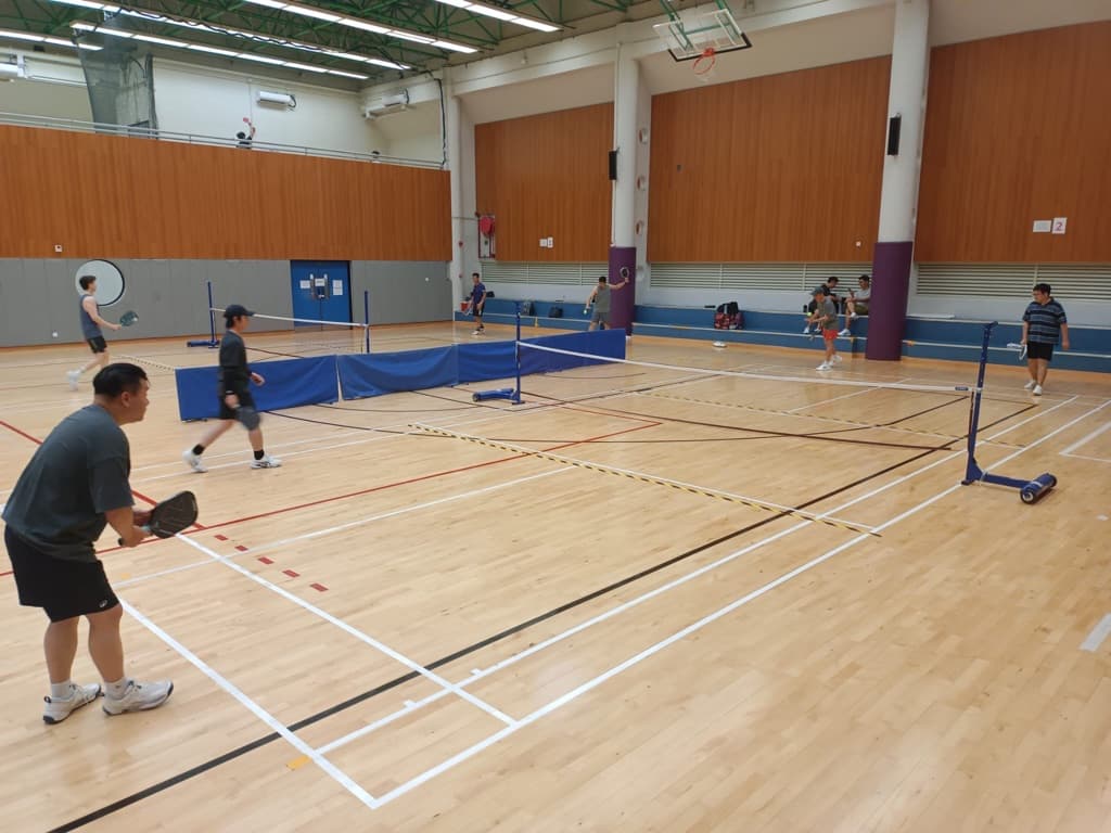MB pickleball 匹克球 media 2