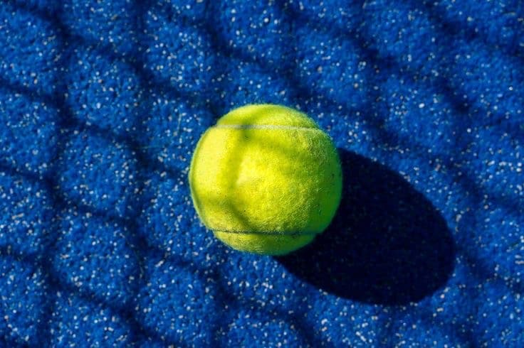 Padelima media 2
