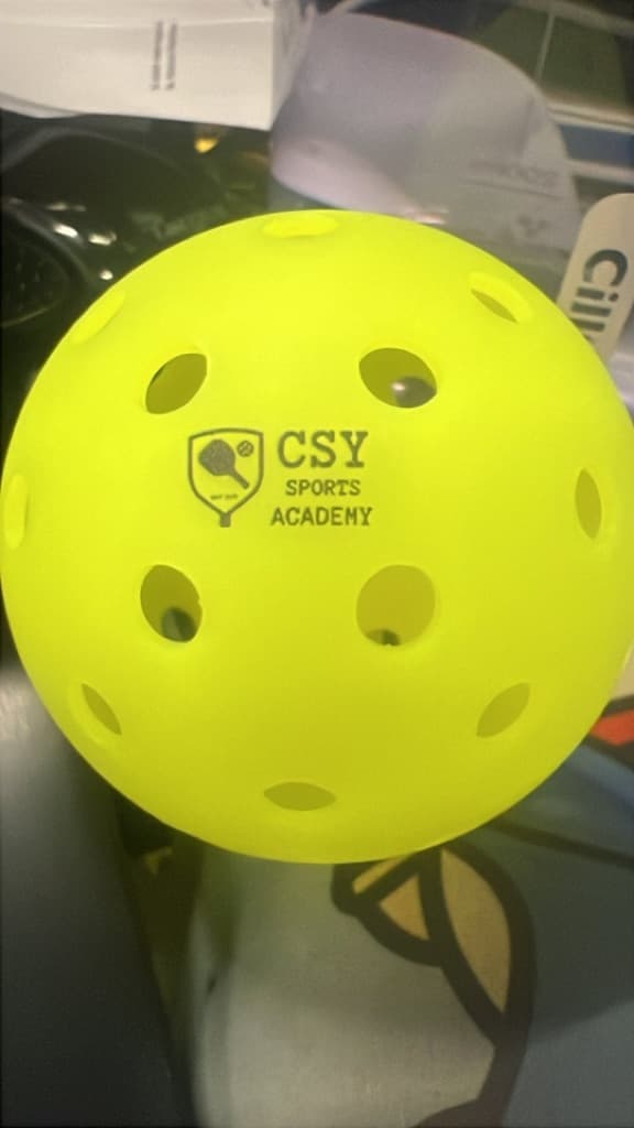 CSY Sports Academy media 4