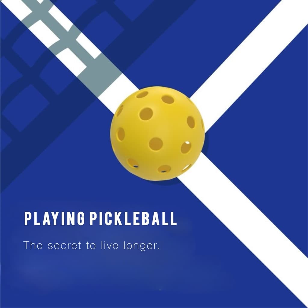 PickleHolic media 1