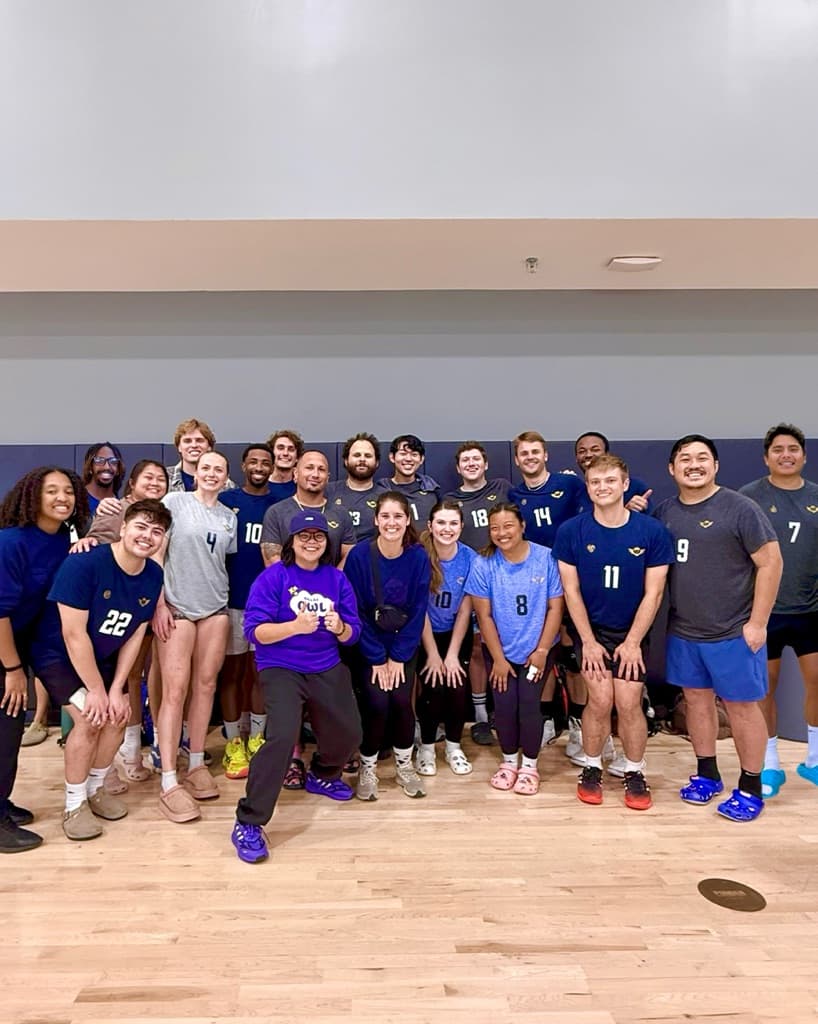 OWL Volleyball media 1