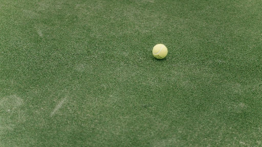 Avgust Padel media 1