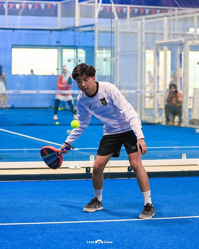 Padelnesia media 5