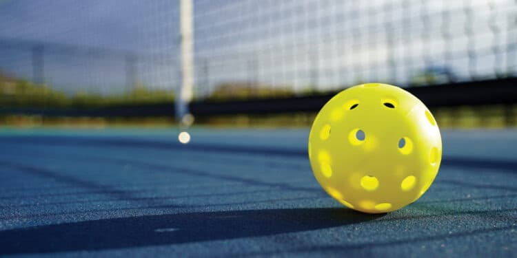 Next Lv Pickleball  media 1
