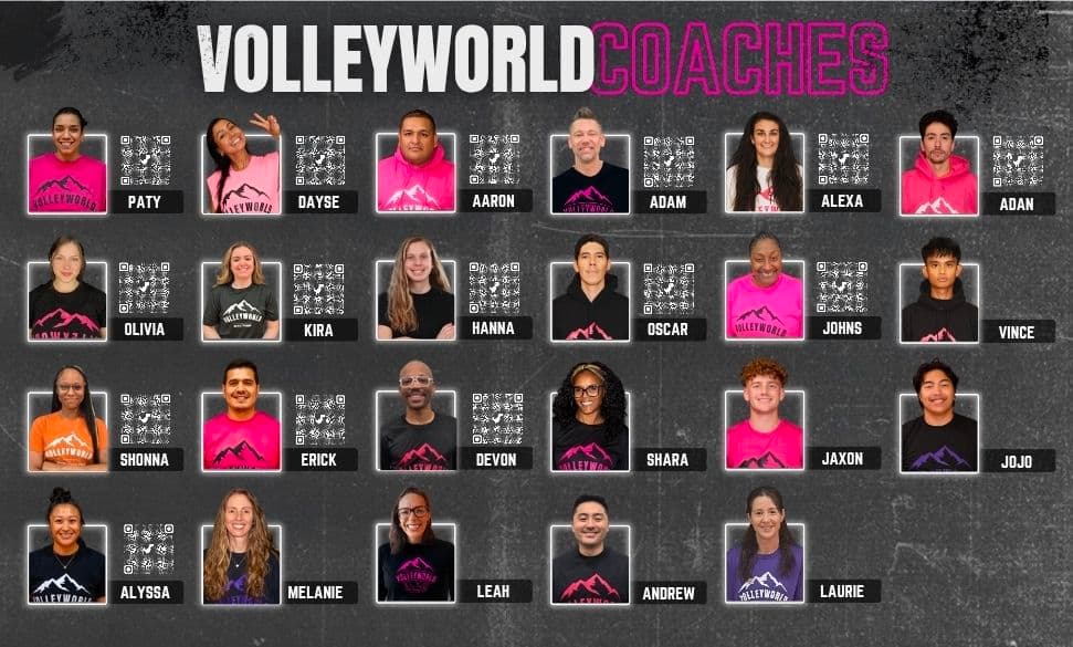 Volleyworld Gym media 1