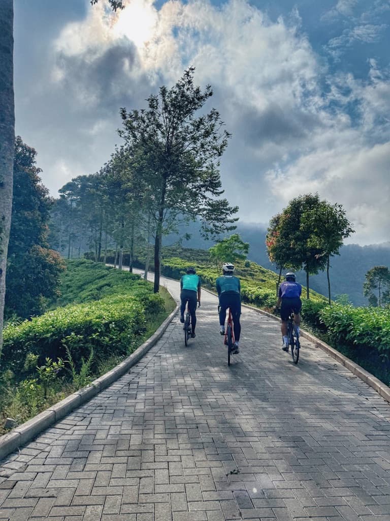 ROC cycling  media 2