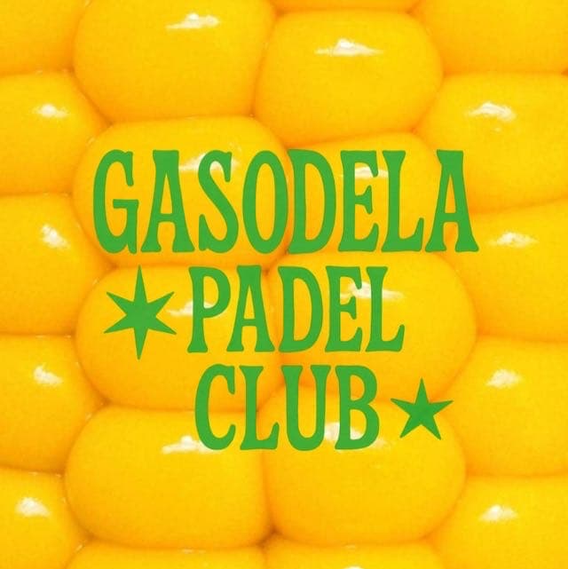 Gasodela media 1