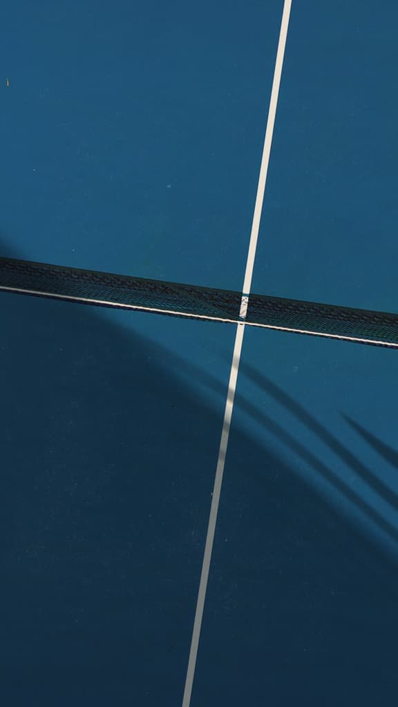 Picca On Court media 1