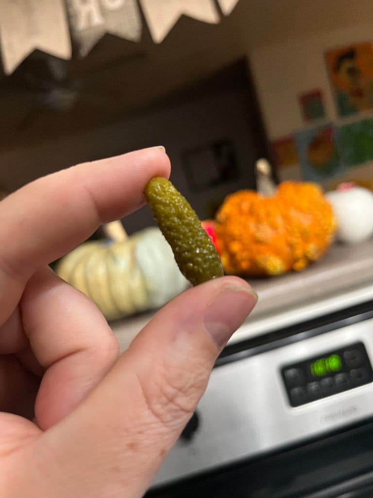 the big pickles media 1