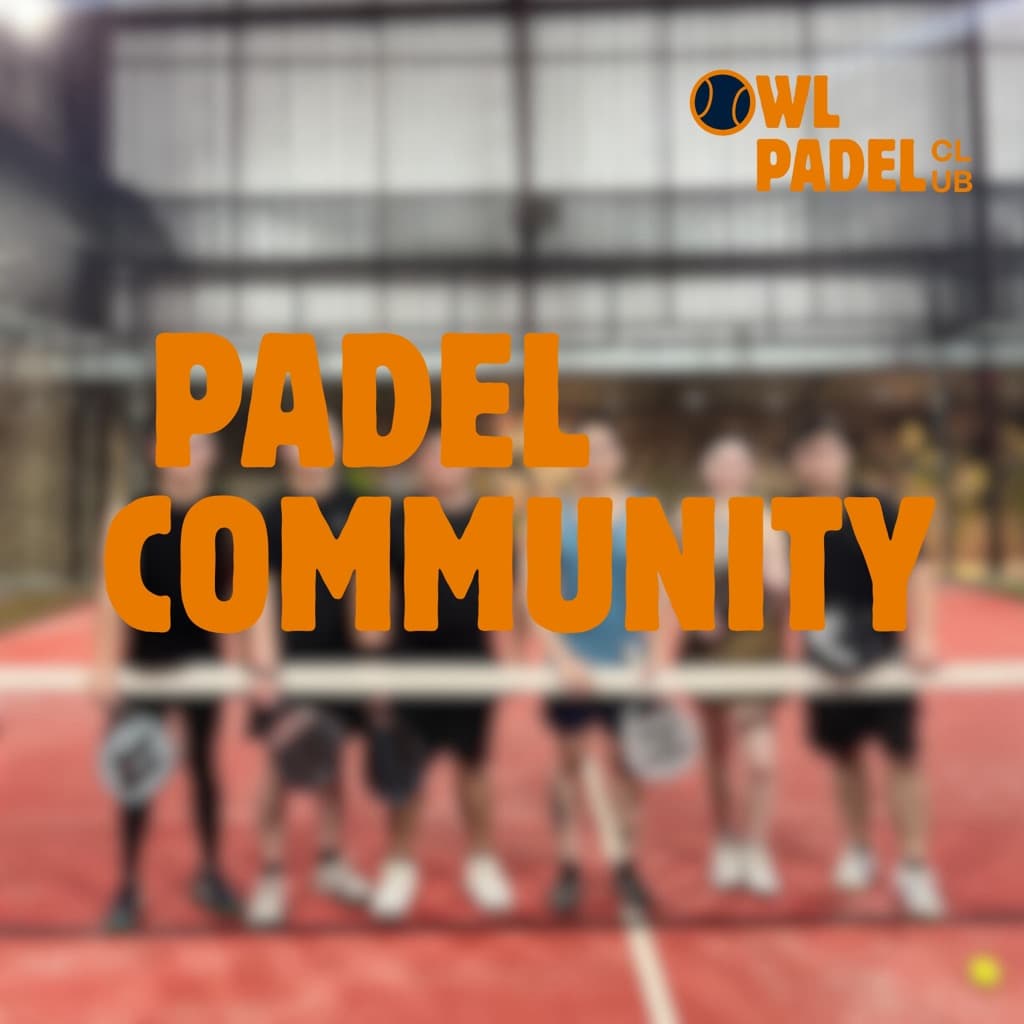 OWL PADEL 🦉  media 4