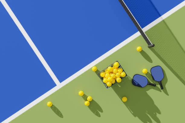 WA Pickleball Club media 2