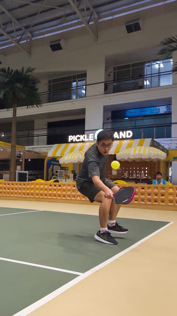paddle+ball=pick media 2