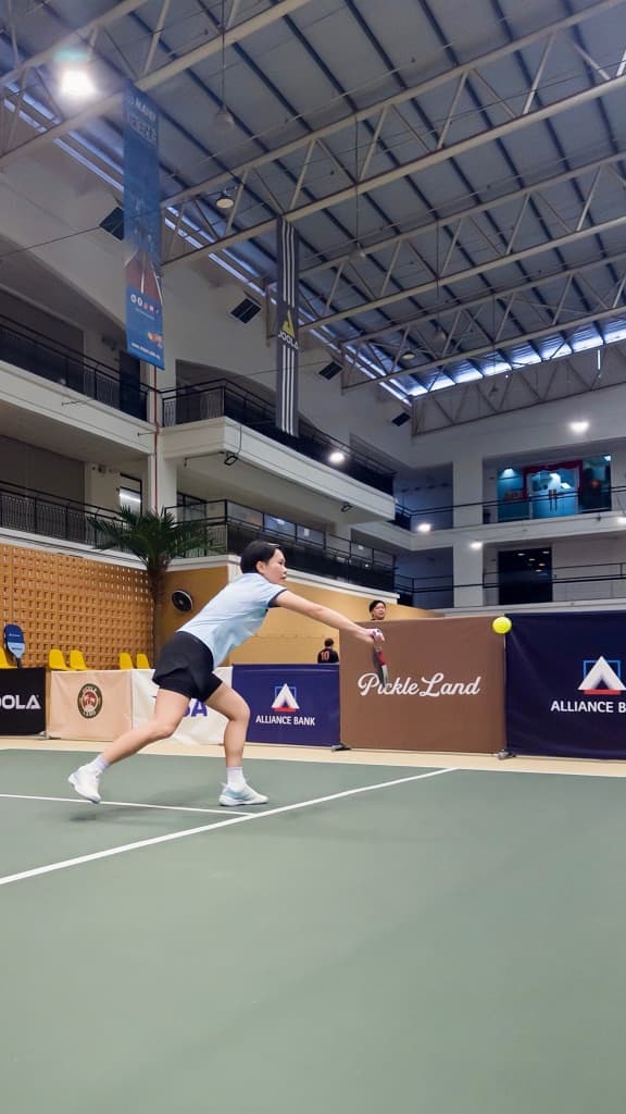 paddle+ball=pick media 4
