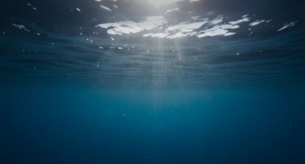 Deep Water Swimming Jakarta media 1