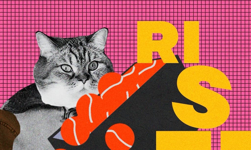 Riserve media 4