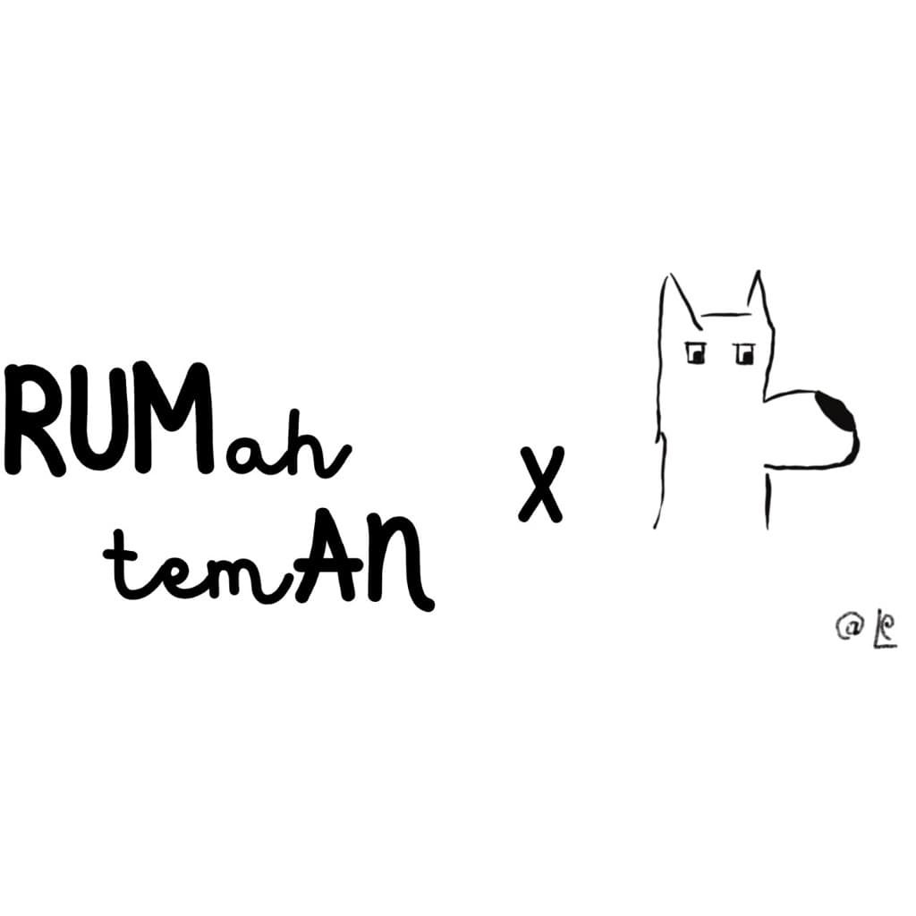 RumAn media 1