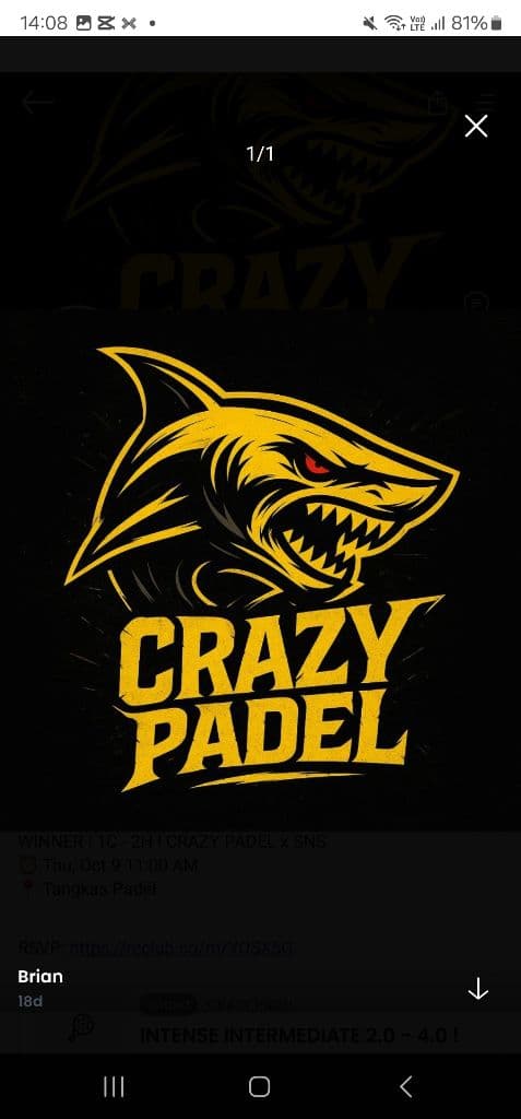 CRAZY PADEL ( RECOVERY ) media 5