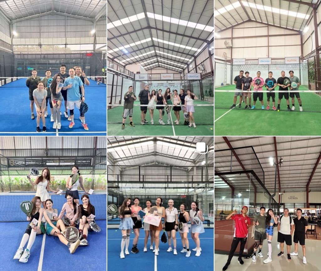 Terpadelpadelnih media 1