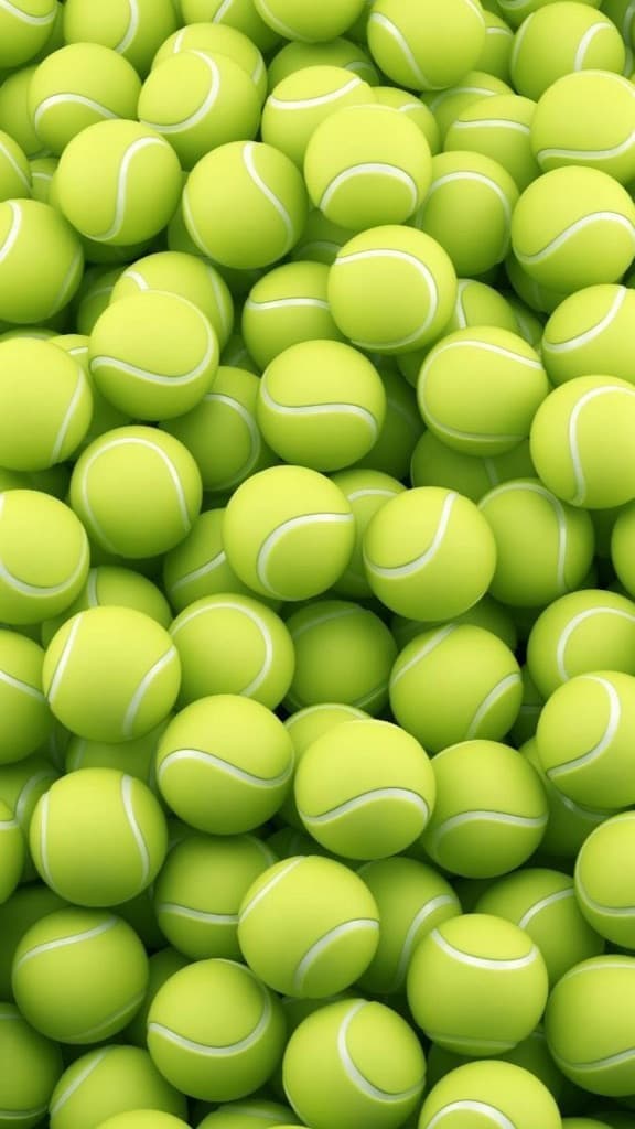 FM Padel Club media 1
