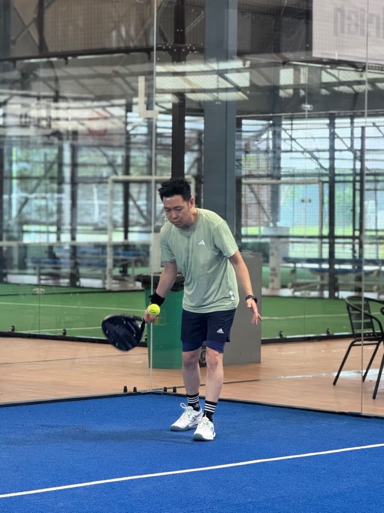 Padelina media 3