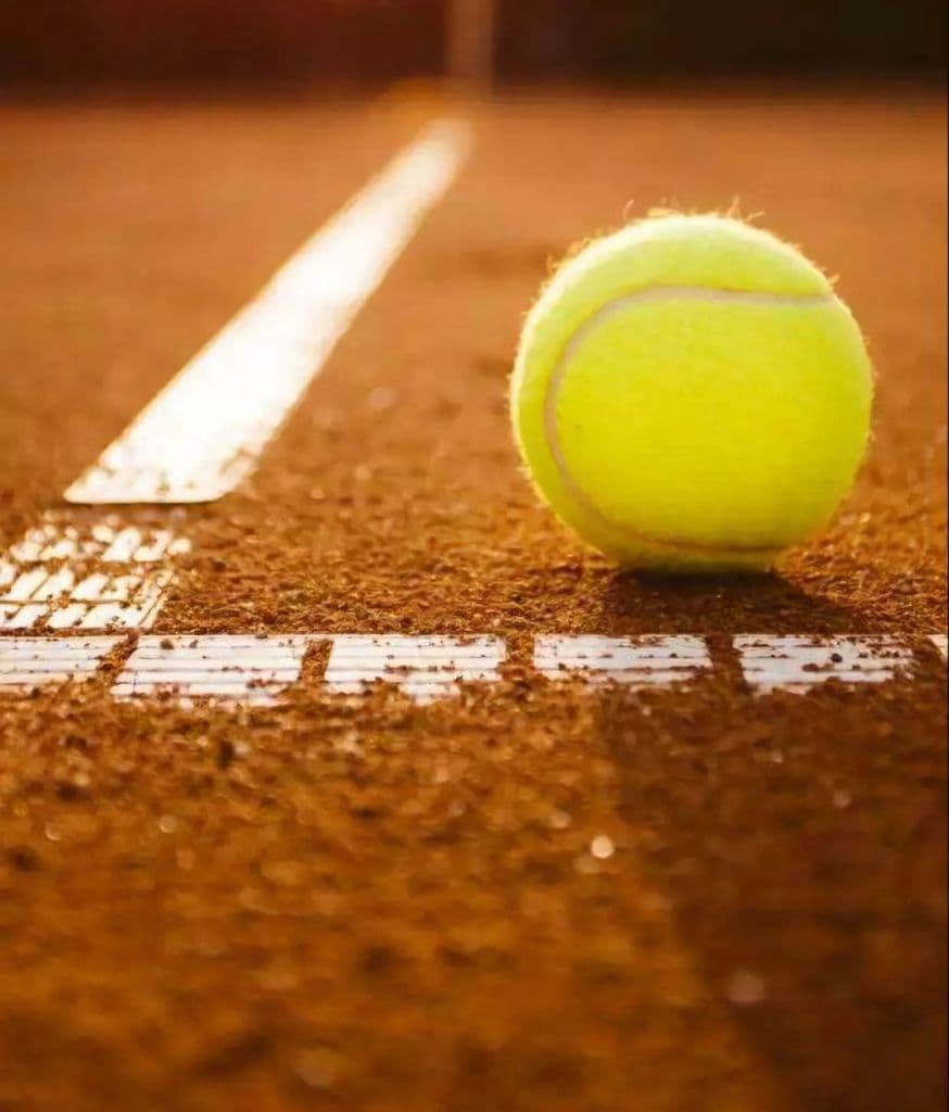 Penguin Padel Club media 2