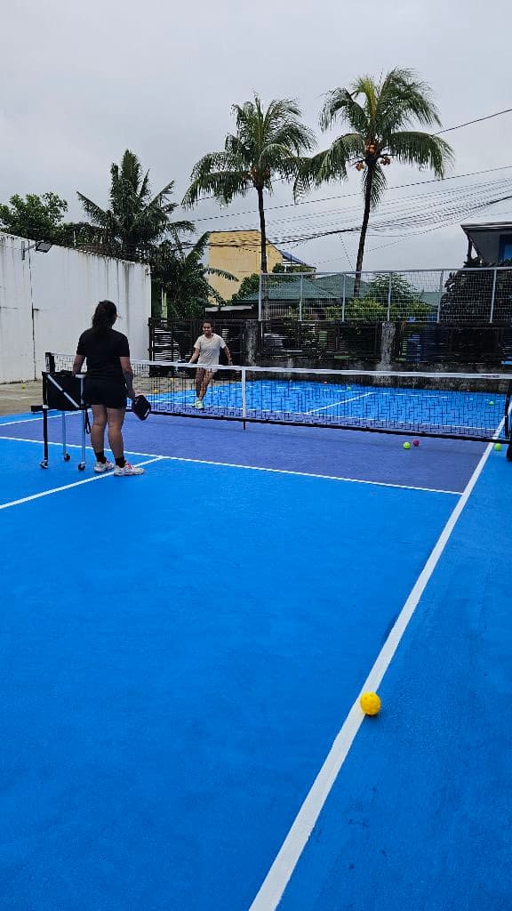 Dinkin Park Pickleball Club media 1