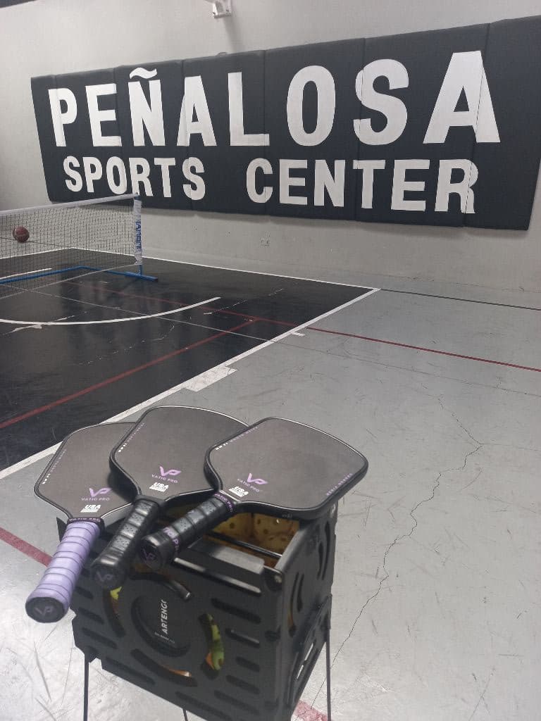 TZ Pickleball Club media 2