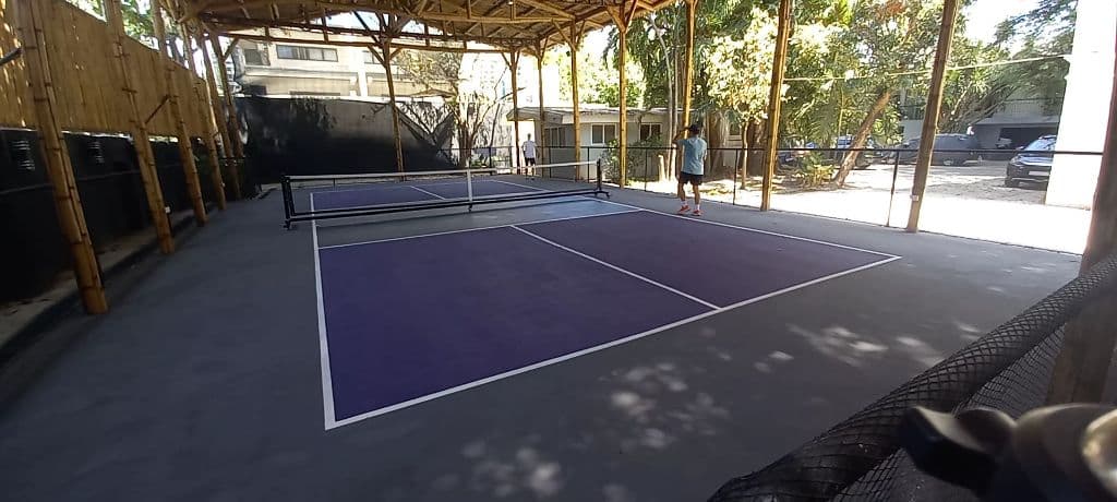TZ Pickleball Club media 1