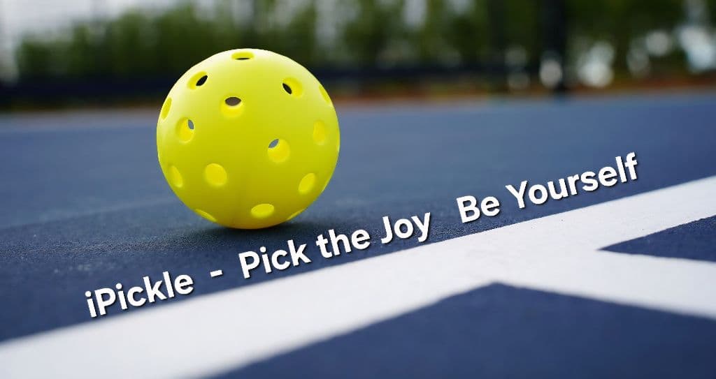 iPickle - Pick the Joy  Be Yourself.  media 2