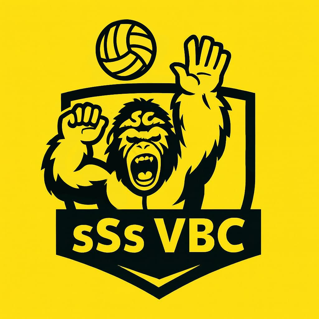 sSs VBC media 4