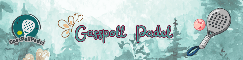 GassPollPadel media 1
