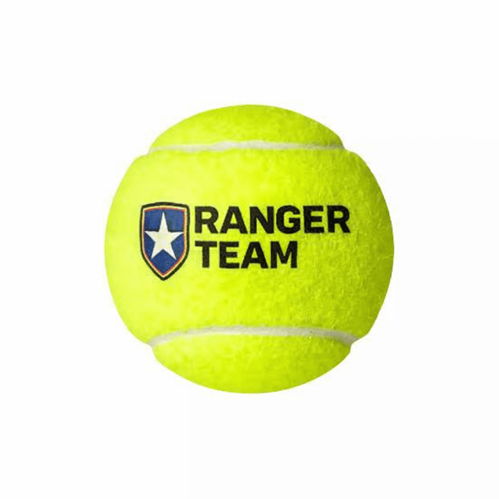 RANGER TEAM  media 5