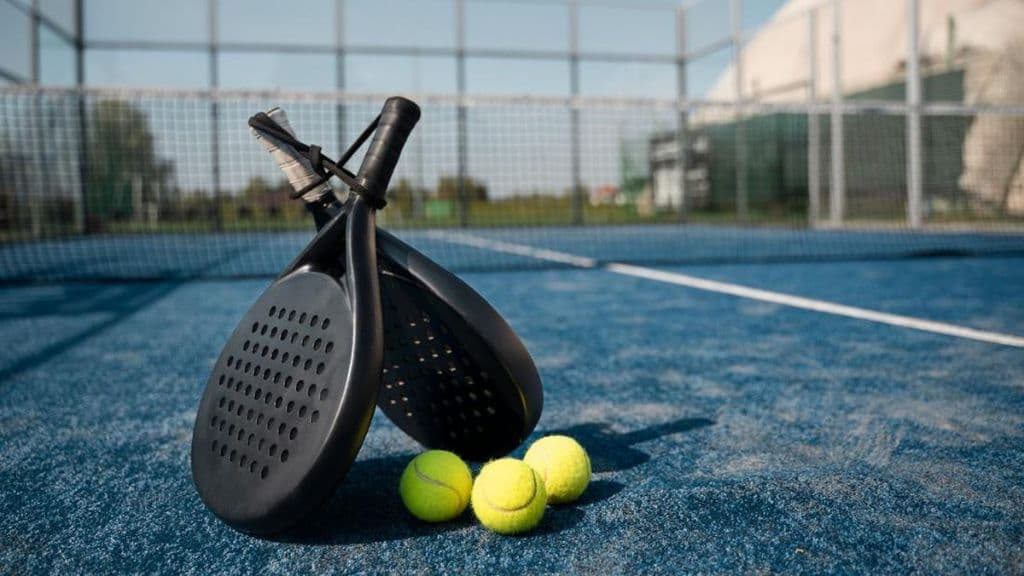 Bintaro Padellust Colony media 3