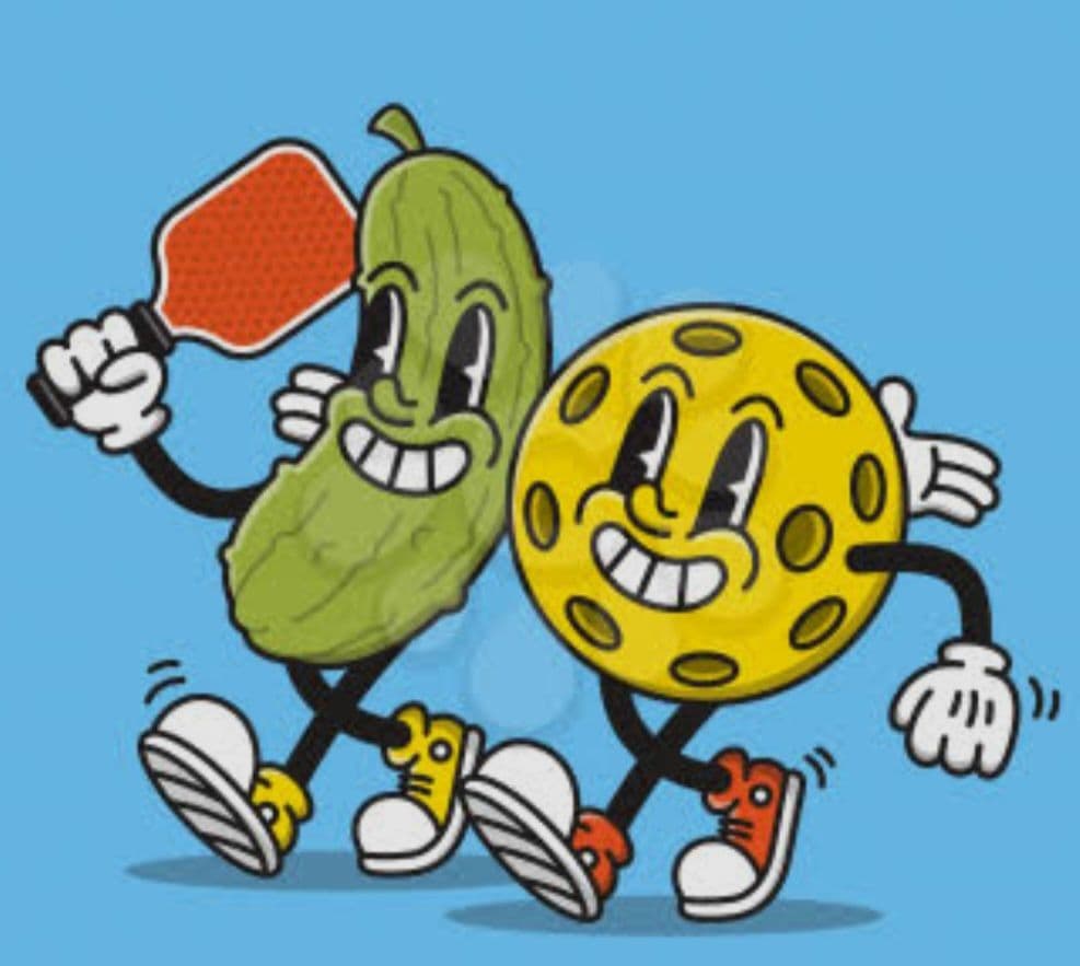 TerPickle Bola media 1