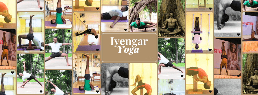 Exploring The Yoga Journey media 1