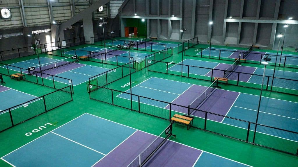 Net and Paddle Pickleball Club media 1
