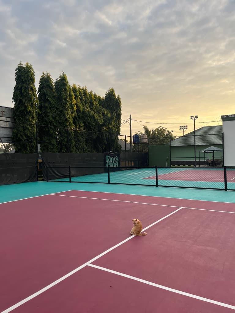 ZD Tennis Club media 1