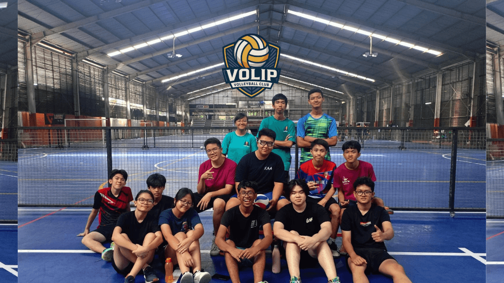 VOLIP media 2