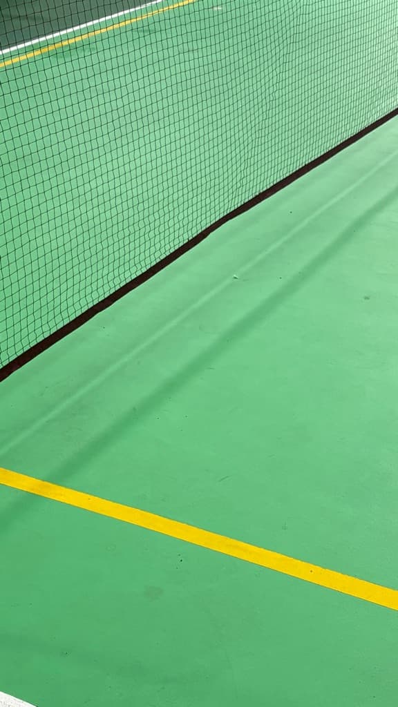 MOC Pickleball media 1