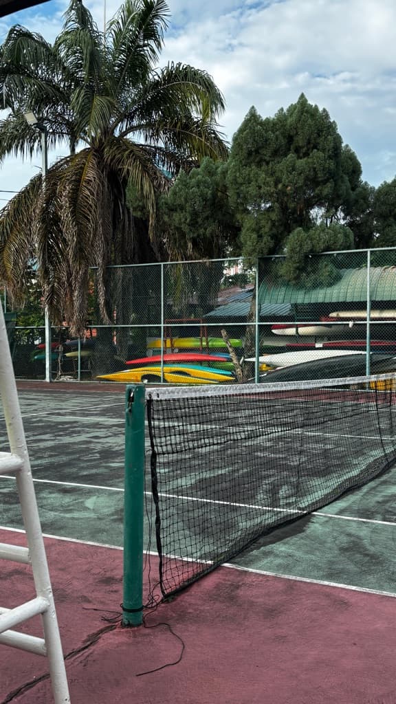 Professional Tennis Amateurs media 2