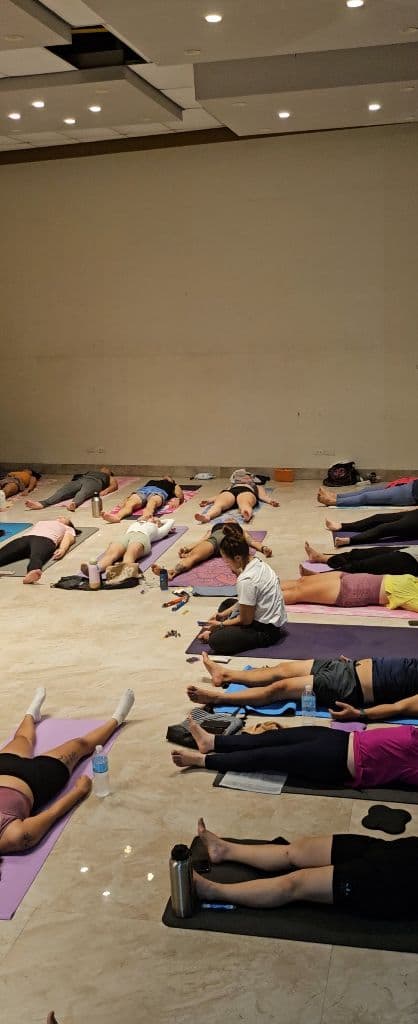 Pickled YOGIs media 1