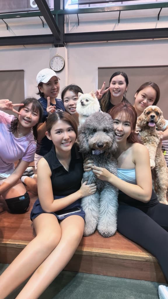 Pick the 🎾 with 🐶 🐹🐰🐱 media 1